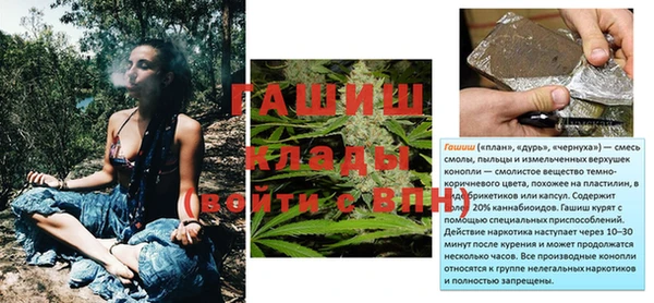 a pvp Бородино