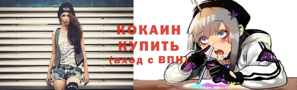 a pvp Бородино
