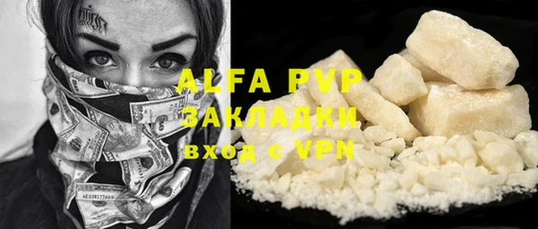 a pvp Бородино