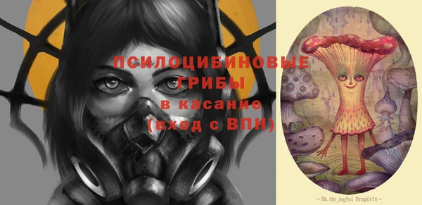 a pvp Бородино